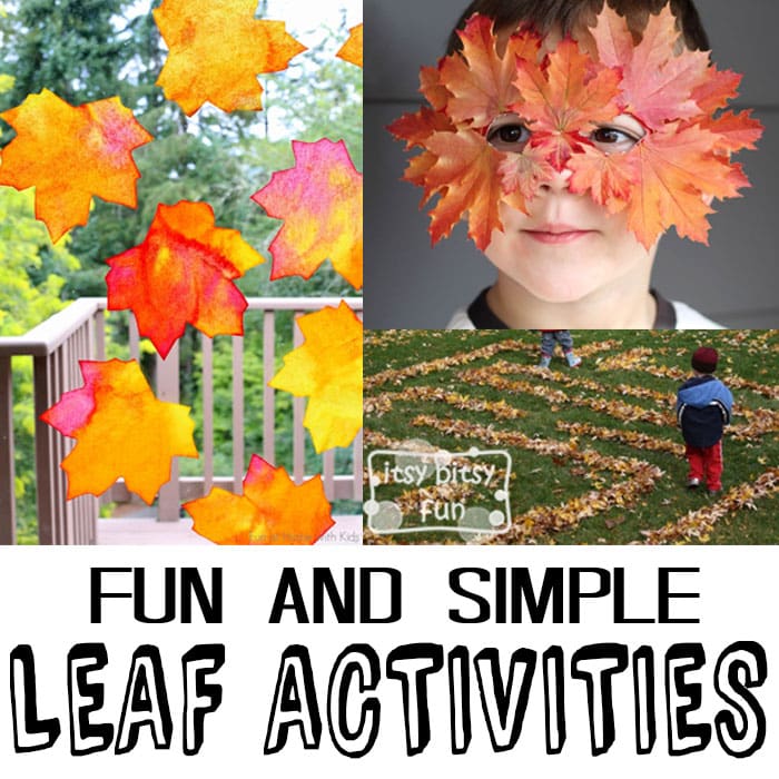  10 Simple Leaf Activities
