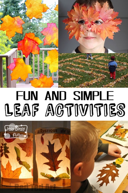  10 Simple Leaf Activities