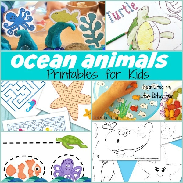 Sweet Ocean Animal Printables
