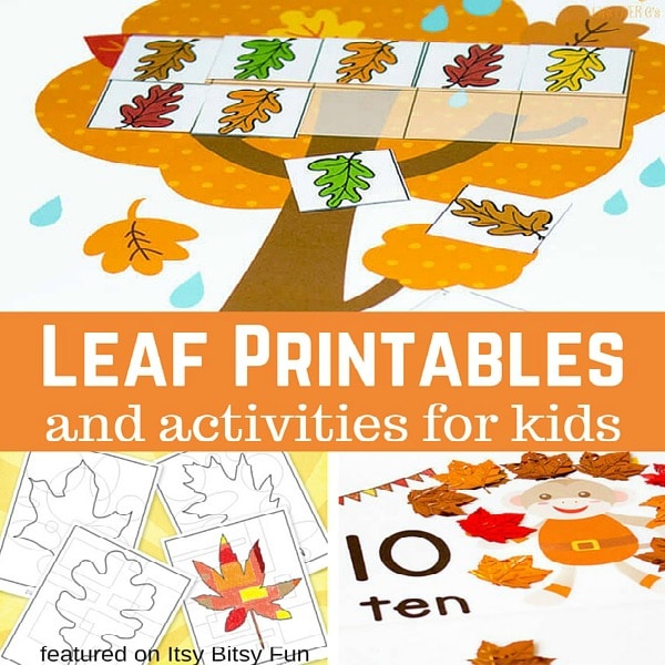 Free Leaf Printables and Activities
