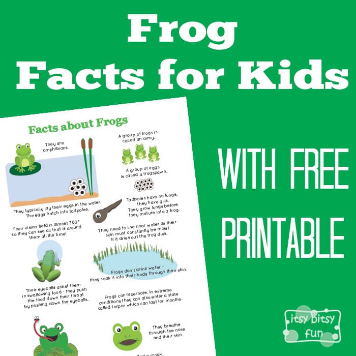 Fun Frog Facts for Kids