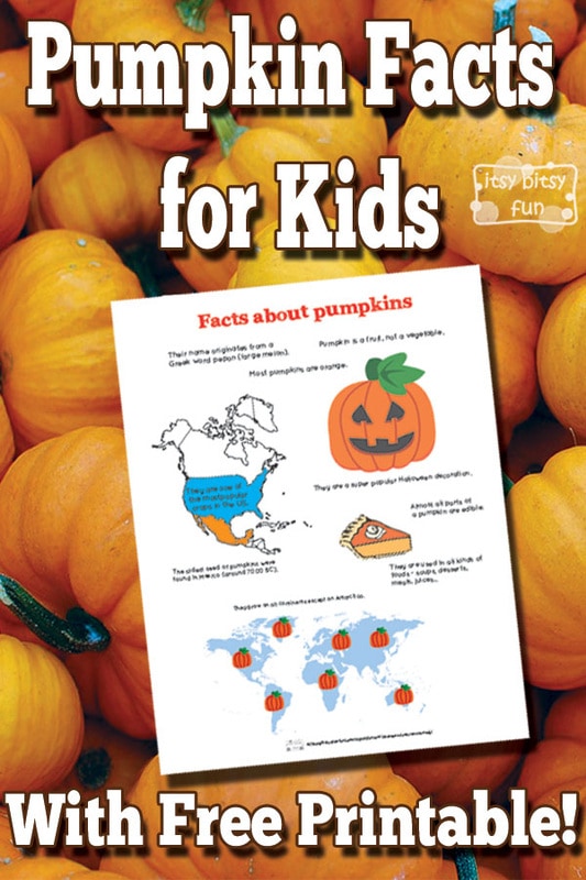 Fun Pumpkin Facts for Kids