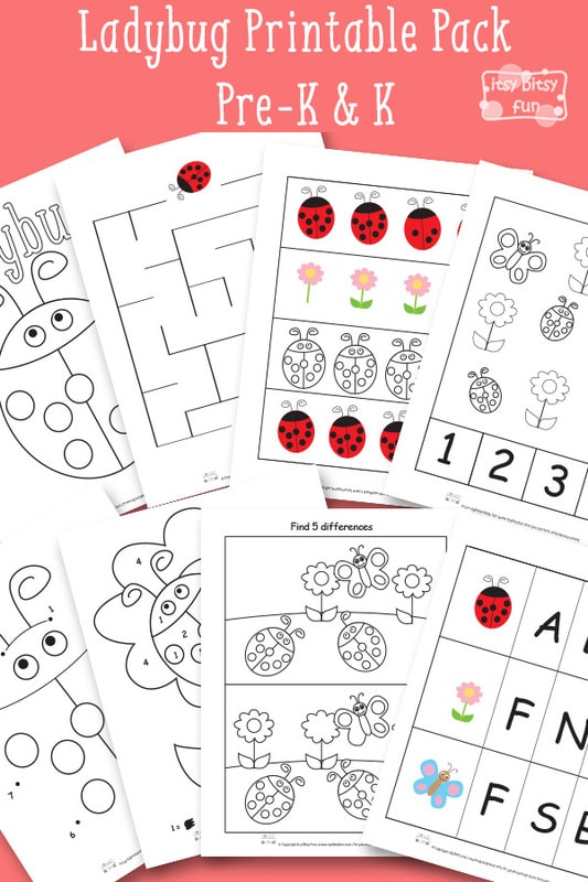 Ladybug Printable Worksheets for Kindergarten and Preschool