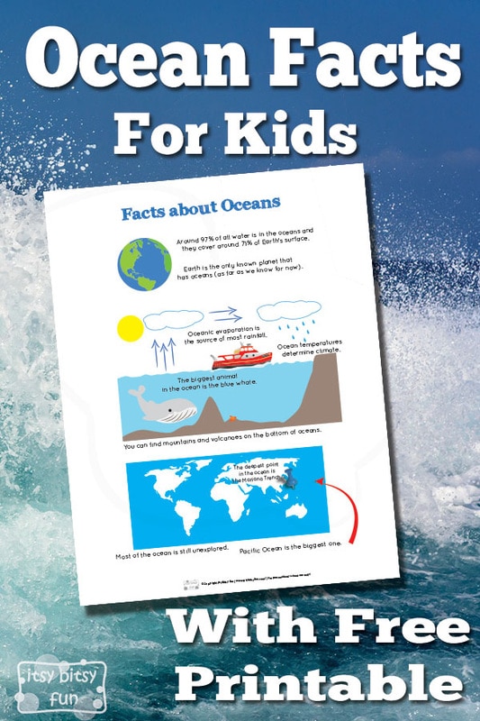 Ocean Facts for Kids 