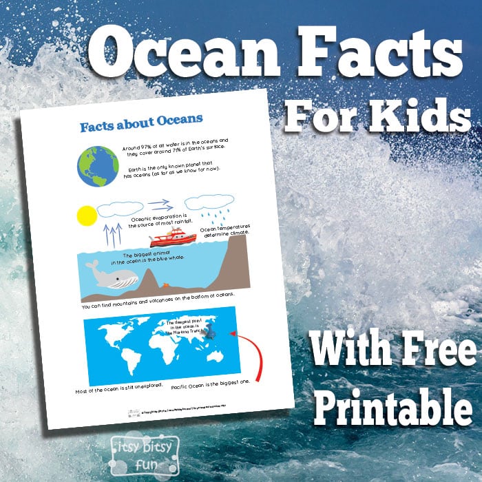 Printable Fun Ocean Facts for Kids